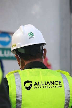 alliance hivis 1